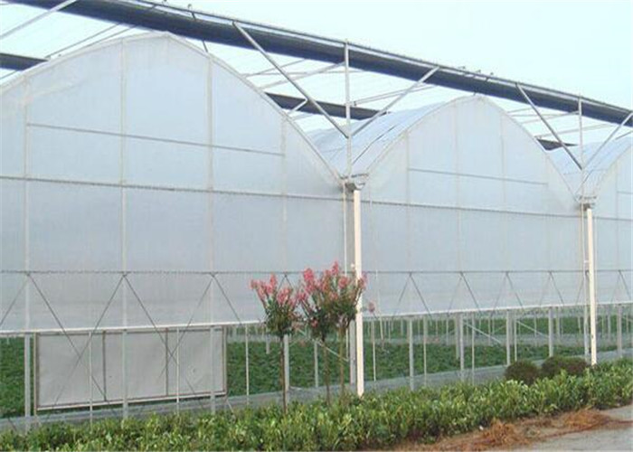 Eco Friendly Plastic Garden Greenhouse Galvanized Steel Tube Frame Structure