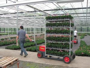 China Steel Wheeled Garden Plant Pot Trolley , 500kgs H1900mm Flower Pot Shelf wholesale
