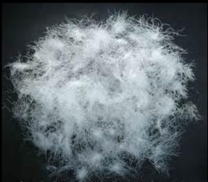 China Raw Marerial 90%, 80% White Duck Down wholesale