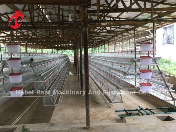 Cheap Type Hot Dip Layer Cages Cameroon Chicken Farm Poultry Layer Cages For Sell Adela