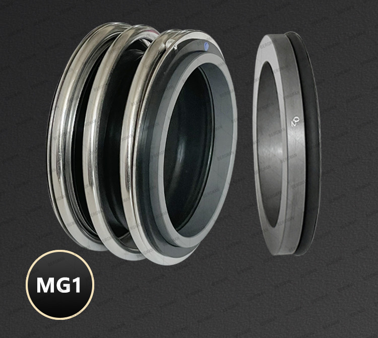 BERGMAN 109/MG1-12mm-110mm G60 G4 G6 G9 G13 G16 BS Bo BP Pump Mechanical Seal