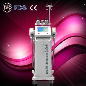 China 2014 Low price cryolipolysis equipment / cryolipolysis slimming machine for best slimming wholesale