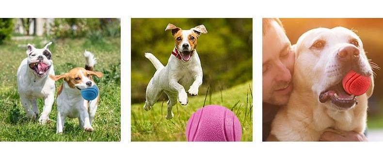 Orange Pet Treat Dispensing Ball Solid Rubber Pet Ball Natural Rubber Dog Chew Toy