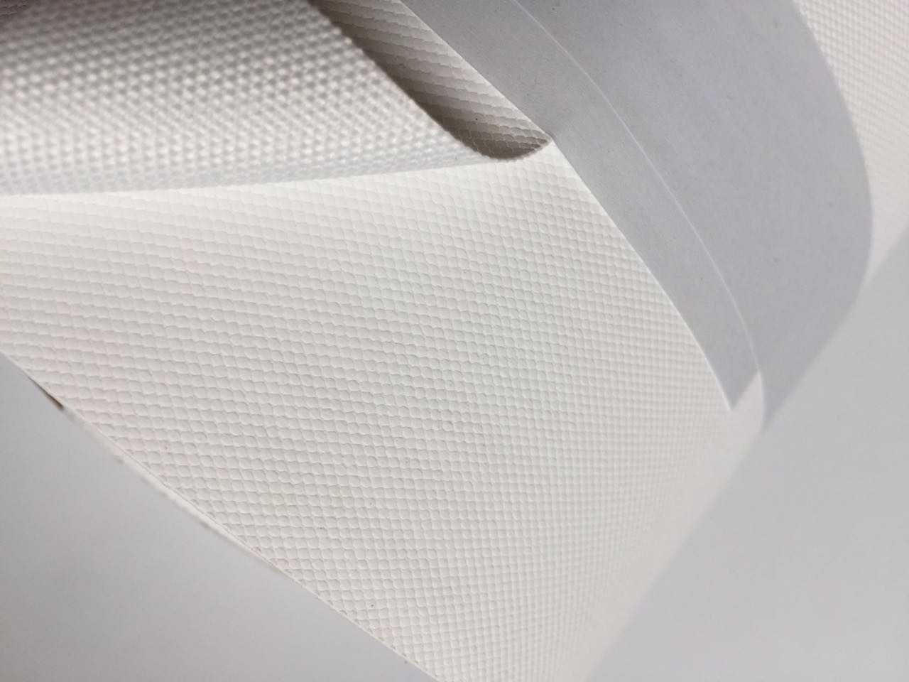240GSM Solvent Inkjet Print Polyester Textile Banner Canvas