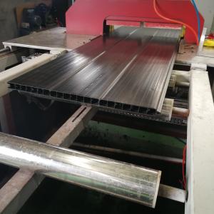 China PP Hollow Fence Panel Plastic Profile Machine wholesale