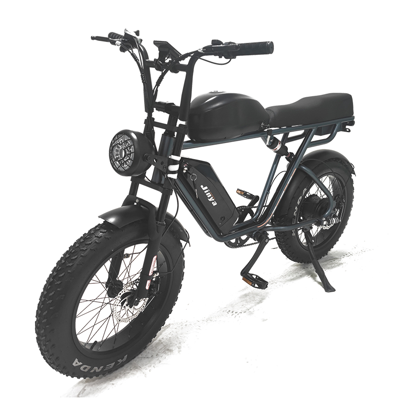 Electric Fat Tire Bike Full Suspension 33Ah Lithium Battery Retro eBike 1000W Hub Motor Bicycle with Steel Frame Material