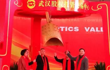 Wuhan TORLEO Intelligent Co., Ltd.