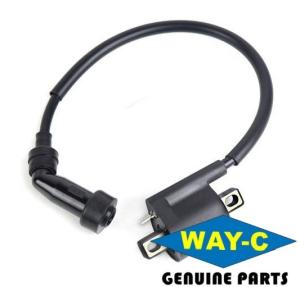 China Motorcycle Moto Ignition Coil Assy 1BK-H2310-00 For YAMAHA YBR125 wholesale