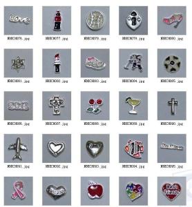 China Fashion Charms for Floating Charm Living Locket Collection 3 wholesale