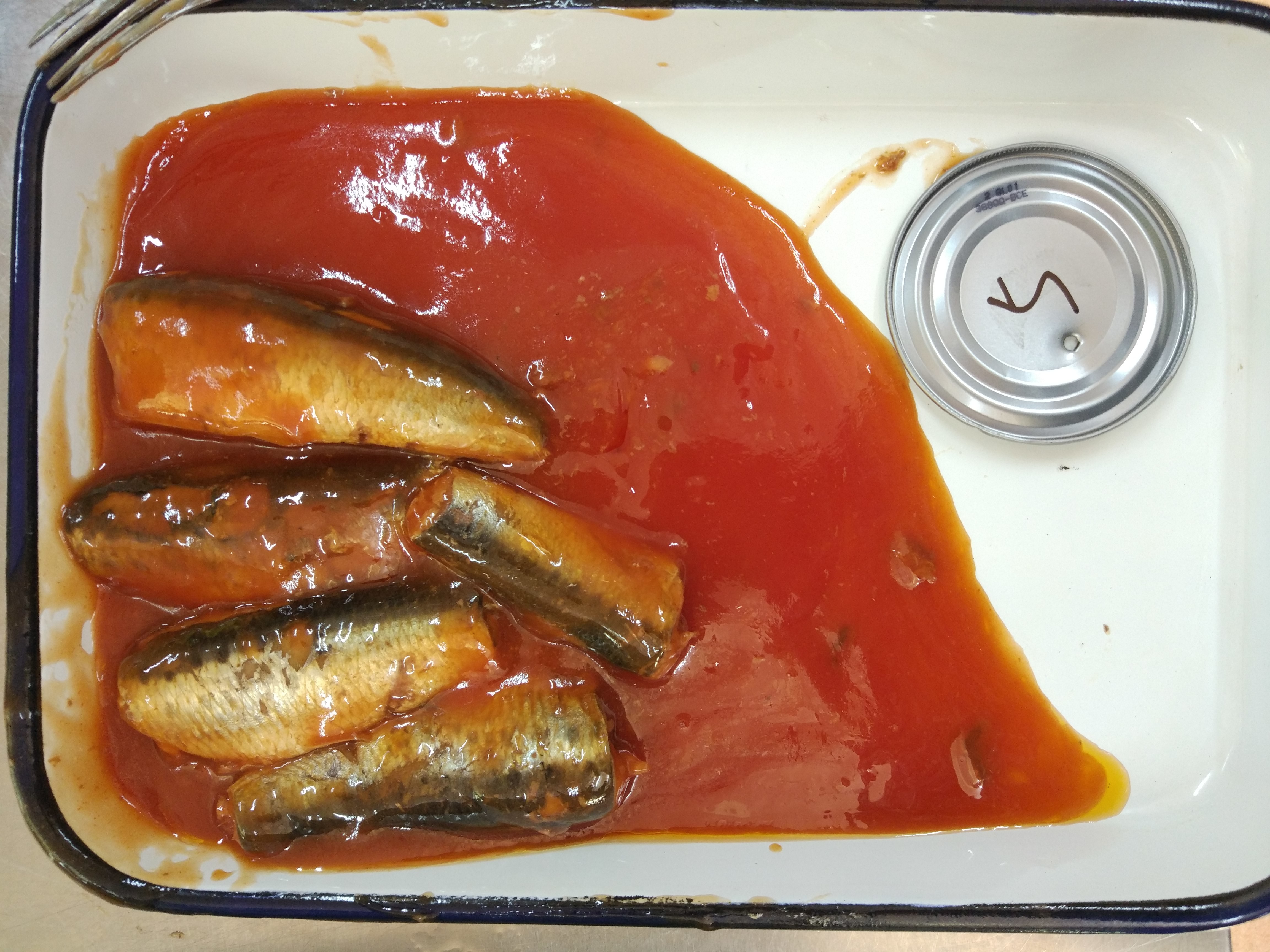 Self - Contained Sardine Fish Can Non Perishable With Omega - 3 Fatty Acids