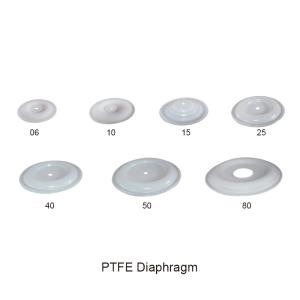 China Diaphragm PTFE Air Operated Double Diaphragm Pump Parts wholesale