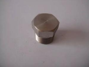 China NPT ASME B16.11 Duplex Stainless Steel 904L ASTM A182 F904L hex/round/square plug wholesale
