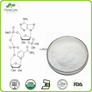 China Best price CAS 53-84-9 Nicotinanide Adenine Dinucleotide wholesale