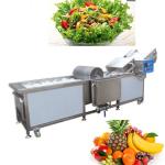 Washing Drying Grading Fruit Vegetable Processing Machines