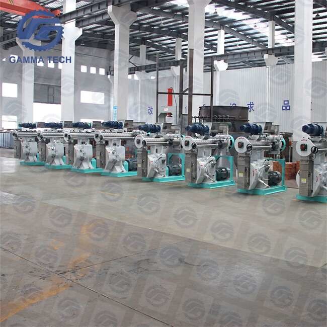 45KW 6MM 7MM Animal Feed Pellet Machine 6 Ton/H Cattle Feed Pellet Mill