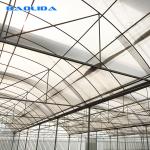 Galvanized Steel Pipe Agricultural Plastic Film Multi Span Tunnel Greenhouse For