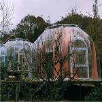 Polycarbonate 6m Geodesic Dome Flexible Convenient Igloo Dome Tents