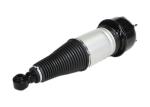 Rear XJ Jaguar Air Suspension Kits C2C41340 For X350 X358 XJ6 XJ8 XJR