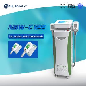 China Cryolipolysis Slimming Membrane Criolipolisi Fat Freezing Slimming Machine for Salon wholesale