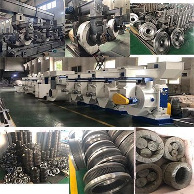 20CrMn 16kg Wood Animal Pellet Mill Pellet Press Roller Grinding Mill Spare