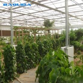 China Hot Dipped Galvanized Steel PE Plastic Film Greenhouse 150mic 200 Micron wholesale
