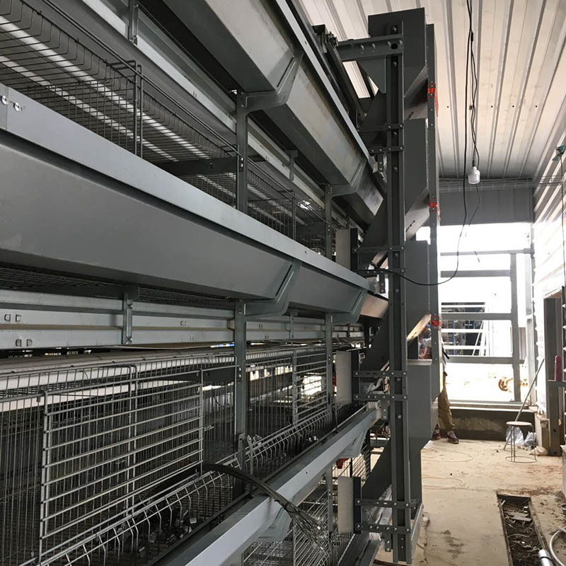 Hi Hope H Type Poultry Cage 6 Tiers 8 Tiers Egg Laying Chicken Cage