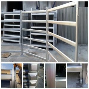China 1800mm x 2100mm cattle panels oval pipes 30mm x 60mm ,40mm x 80mm wholesale