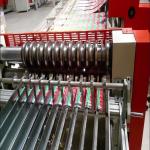Tinplate Sheet Duplex Slitter Cutting Machine