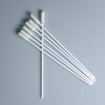 PP Stick Sterile Foam Tip , Specimen Collection Swab