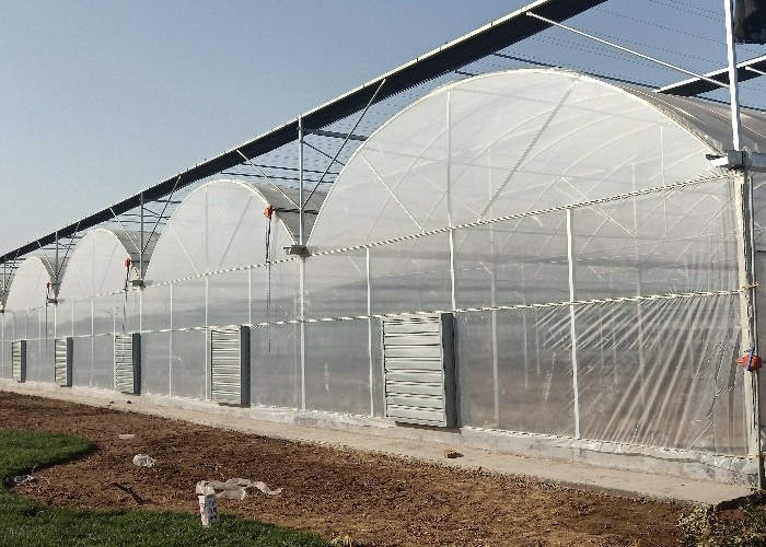 1380x1380mm Galvanized Steel Sheets Exhaust Fans Agriculture Small Greenhouse Cooling System