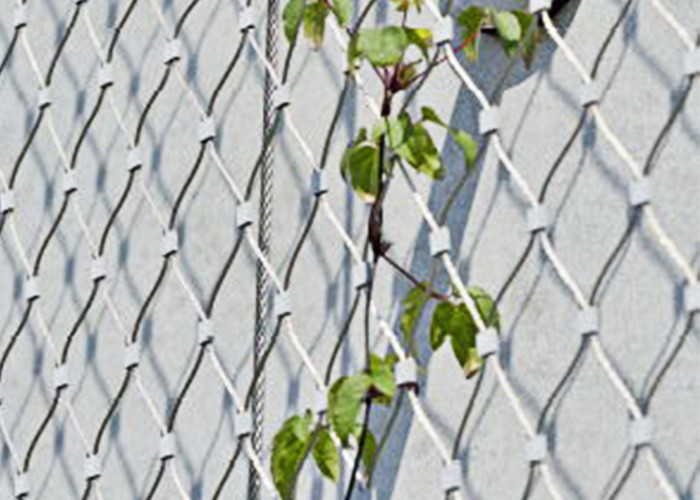 304 304L 316 316L Stainless Steel Plant Climbing Mesh