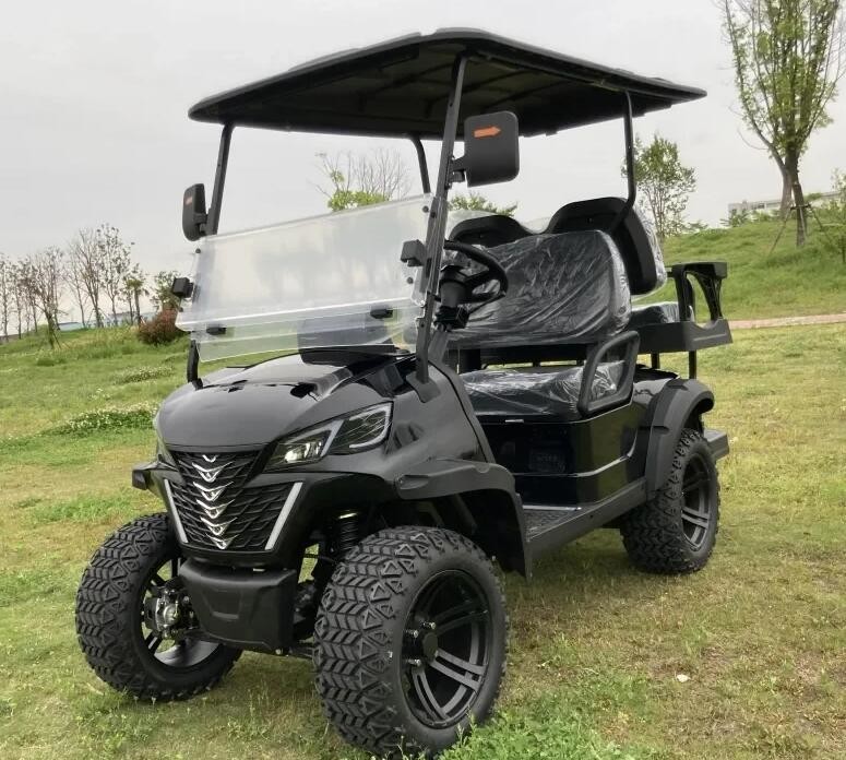 Brand New Lead Batteries EV Golf Cart Street Legal CE Approved Electric Golf Cart For Scenic Spots