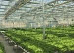 Sightseeing Venlo Glass Greenhouse Custom Shaped Glass Covering Greenhouse