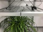 2.9umol/J 680W Grow Light For Indoor Herbs