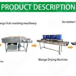 Industrial Vegetable And Fruit Washing Machine Potato Peeling Machine