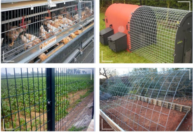 Silver 2×2in 2×4 BWG 13 Galvanized Wire Mesh Sheets Panels 2.11mm High Tensile