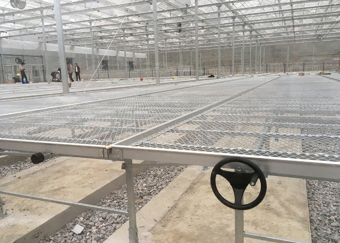 Galvanized Expanded Metal Plant Bench Table Greenhouse For Flower Vegetable Stand