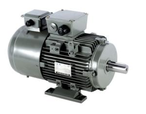 China Aluminum Asynchronous Inverter Motors 3 Phase wholesale