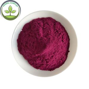China Antioxidants Food Grade Bilberry Fruit Powder With Best Price wholesale