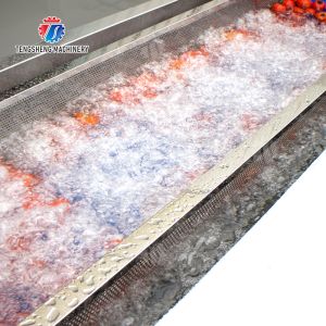 Leaves Leafy vegetables Cabbage varieties Herbs Fruiting vegetables Vegetables