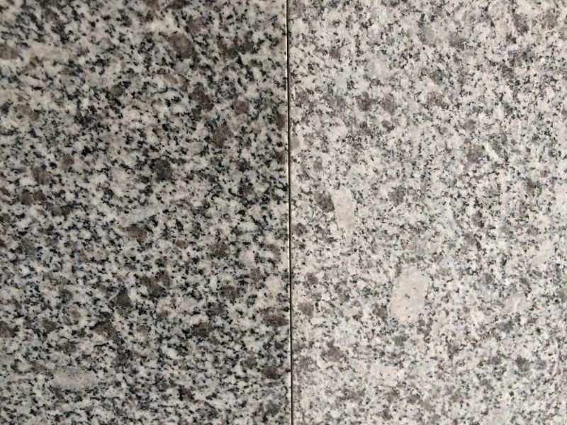 G623/ Rosa Beta Very Competitve Price Quarry Owner Grey Color Granite