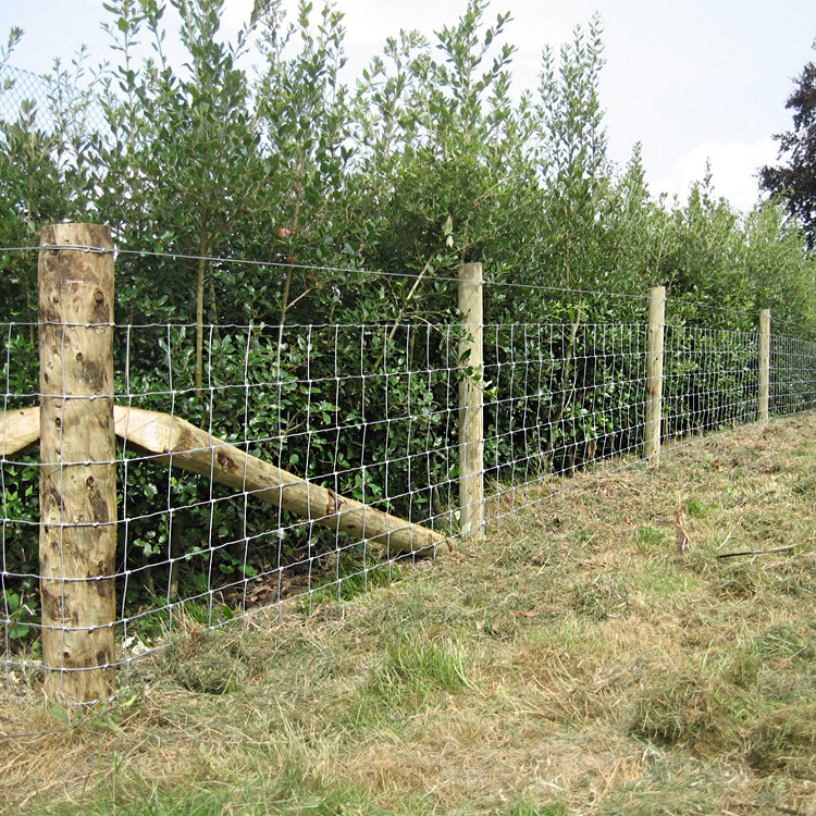 3.0mm 2.5mm Farm Mesh Fence Wire Galvanized 6ft Welded Wire Horse Fence