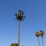 Palm Tree Fake Tree Cell Tower Camouflaged Telecommunication 5-80M