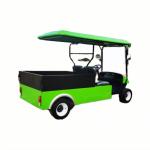 72V Green Electric Golf Cart Cargo Box Flatbed Electric Cart 2 Seats Golf Truck