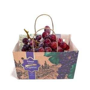China Biodegradable Waterproof Fruit Paper Bags Recyclable Sustainable wholesale