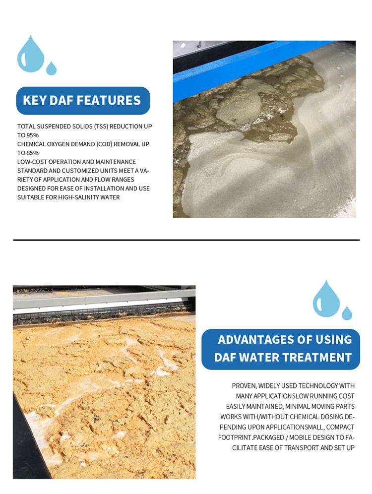 WWTP Wastewater Systems Clarifier Water Treatment Suppliers DAF Unit Dissolved Air Flotation