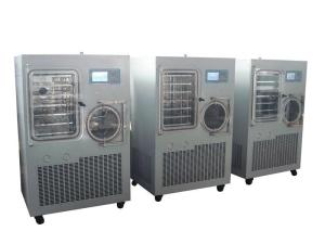 China Fruit Industrial Freeze Dryer Machine Vacuum Freeze Drying Equipment wholesale