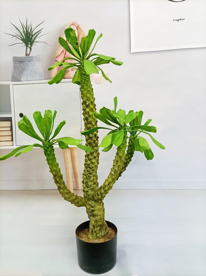 Height 100cm Artificial Landscape Trees Pachypodium Lamerei Drake Indoor Decor