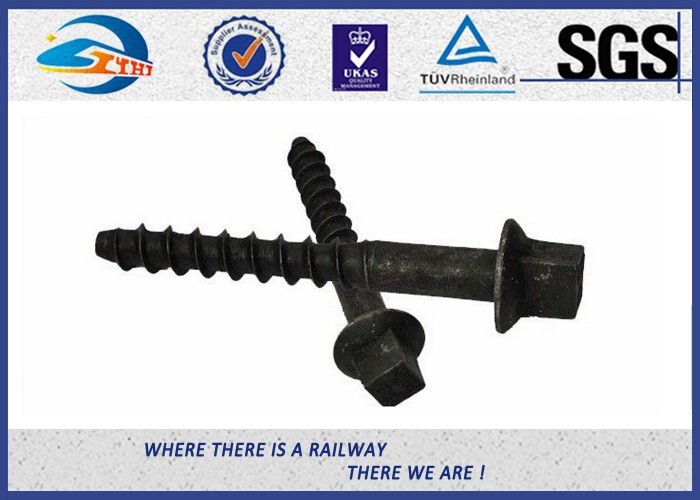 10.9 Grade 40Cr Steel Oxide Black Screw Spike Insert Plastic Dowel Railway Fasteners