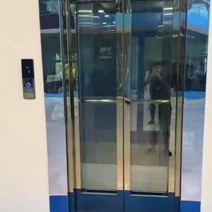 China Stainless Steel Traction Compact Residential Elevators 0.6 M/S Speed wholesale